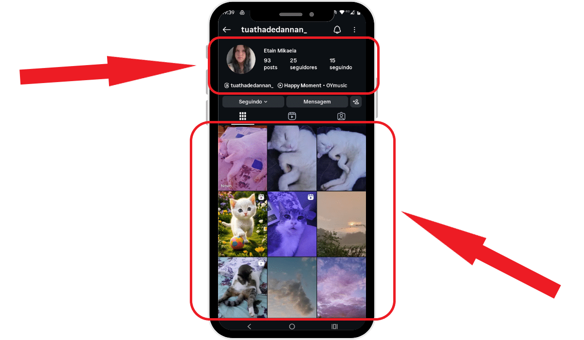 Seguidores-reais-vs-seguidores-fakes Seguidores reais vs seguidores fakes - print de um perfil real do Instagram